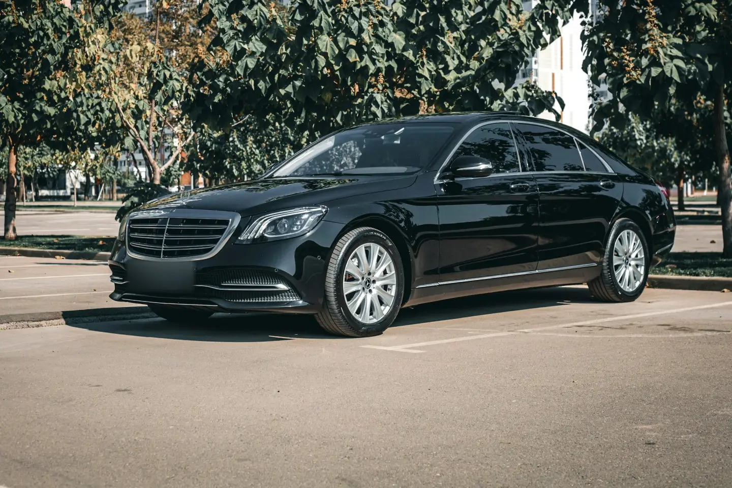 Black Mercedes-Benz S-Class sedan in front three-quarter view, parked in a sunny paved lot lined with trees.