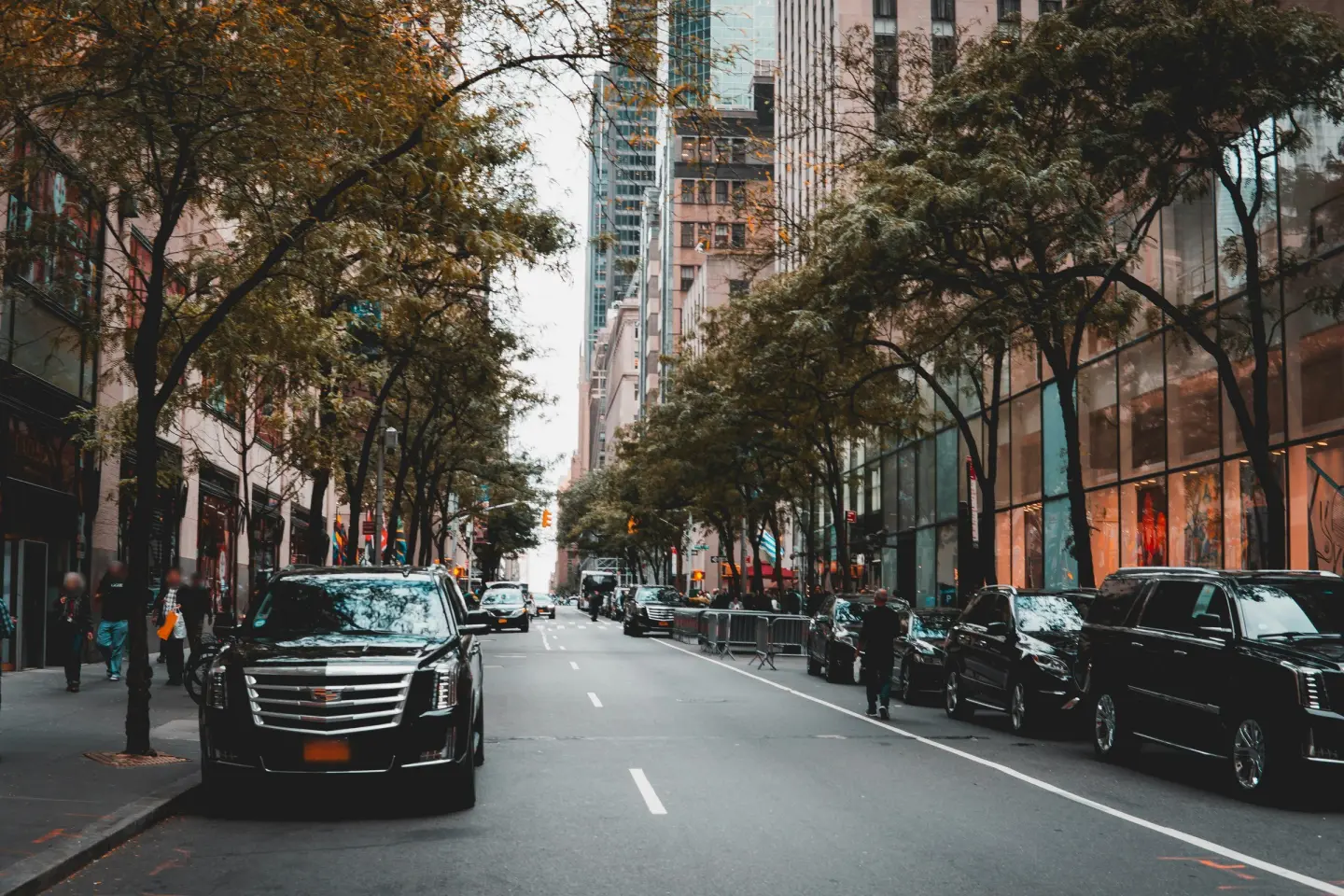 Black Cadillac Escalade at the curb of a tree-lined city avenue, with more black SUVs parked across the street.