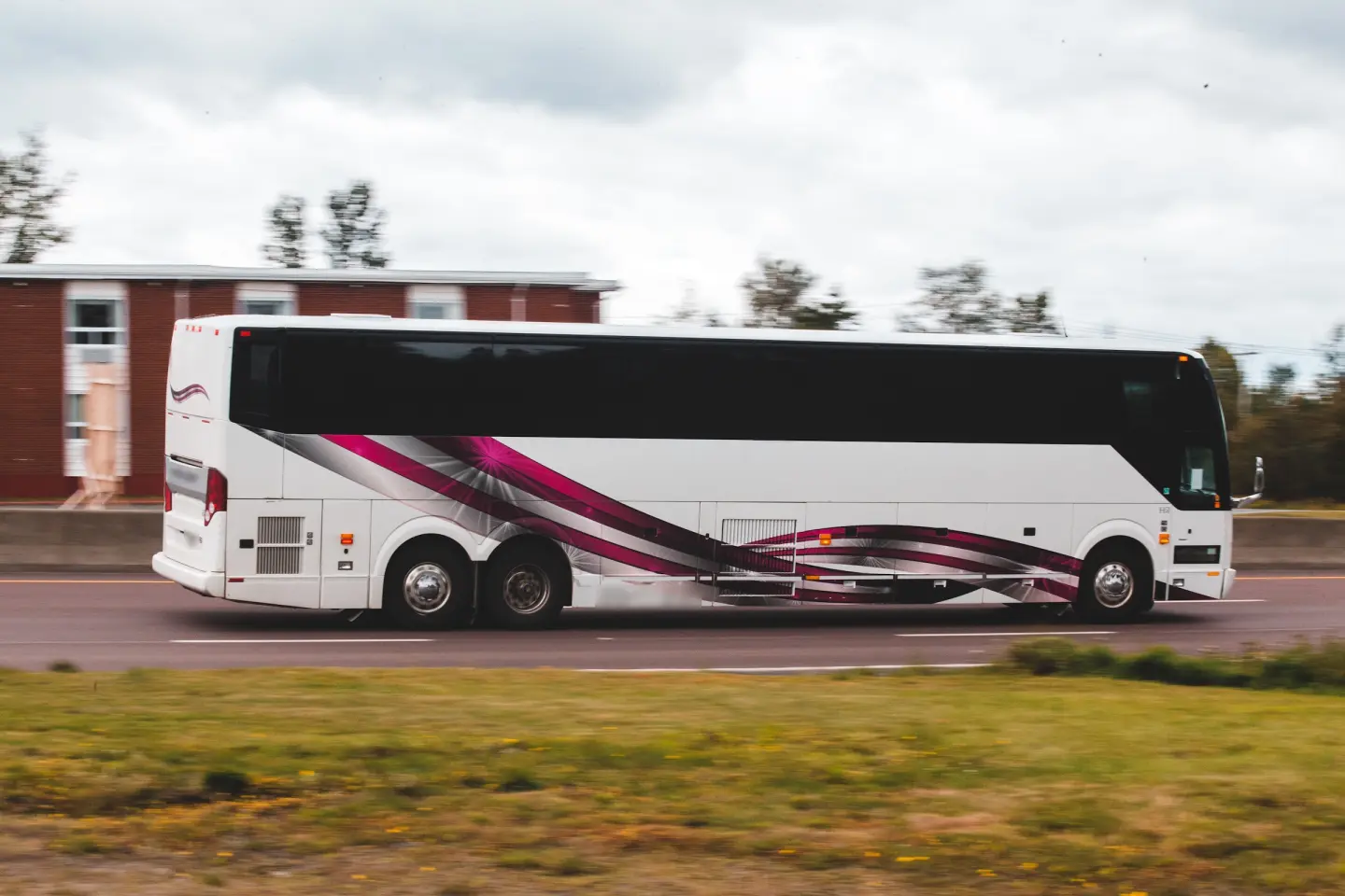 White full-size charter bus with tinted windows and magenta swoosh graphics driving along a highway.